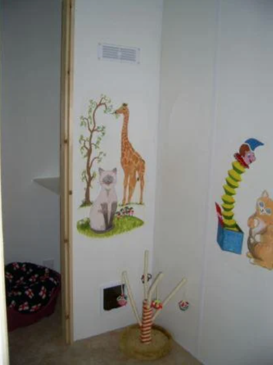 Inside Casper's Cattery