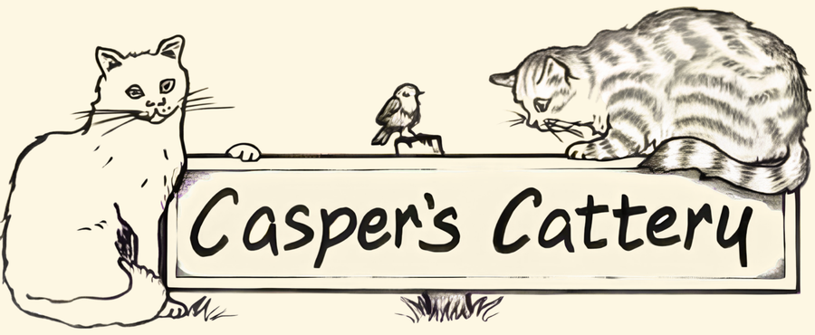 Casper's Cattery