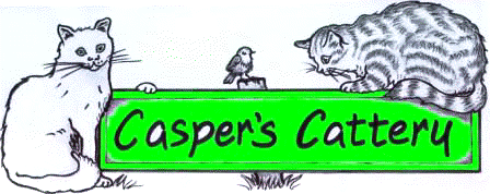 Caspers Cattery
